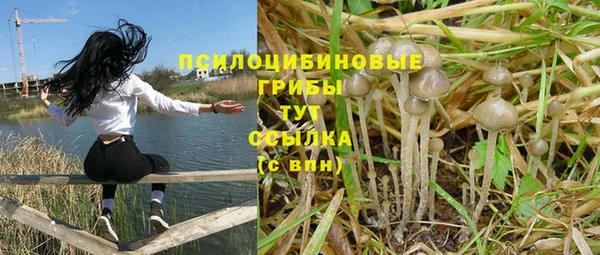 экстази Михайлов