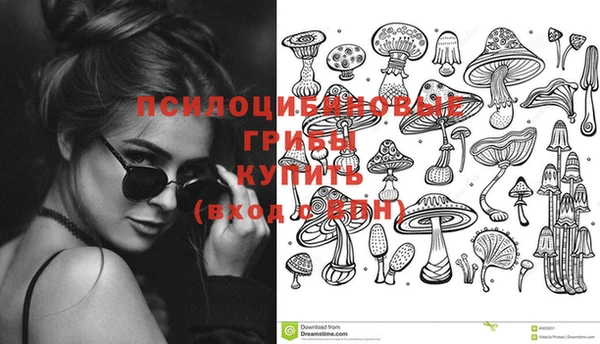спайс Пролетарск