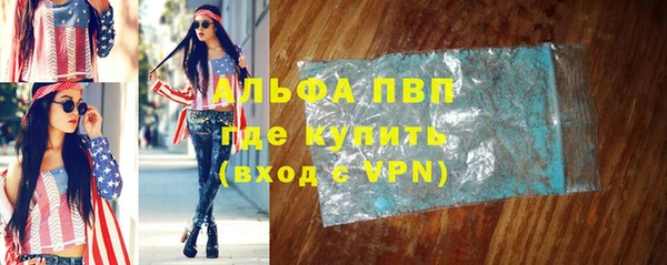 сатива Вяземский