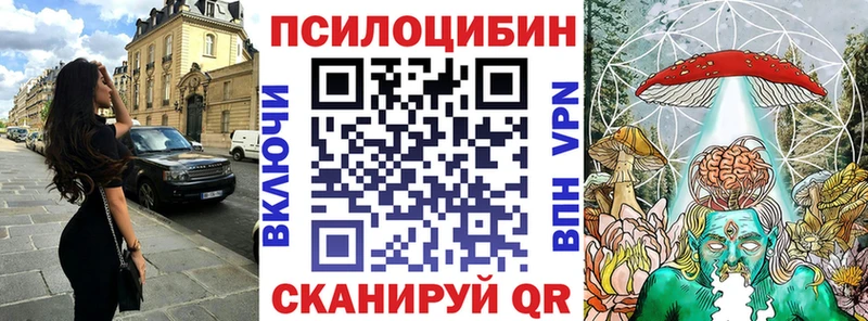 как найти наркотики  Шахты  Псилоцибиновые грибы Cubensis 