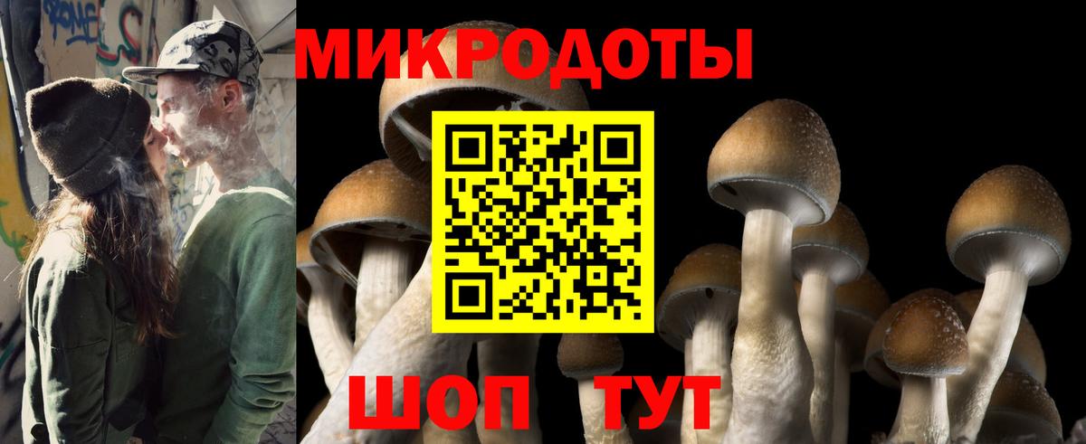 Галлюциногенные грибы GOLDEN TEACHER  Вход с VPN  Шахты 
