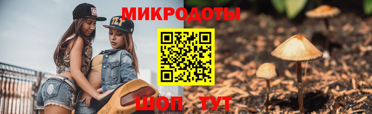 Галлюциногенные грибы мухоморы Шахты